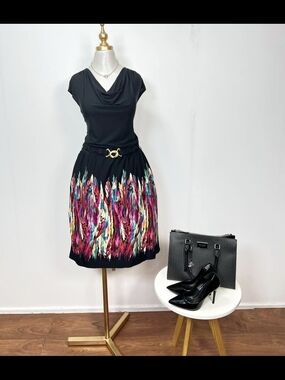 Black A-Line Dress with Multicolor Feather Print